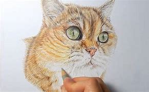 Image result for How to Draw Realistic Cat Hair