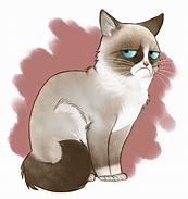 Image result for Grumpy Cat Drawings