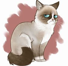 Image result for Grumpy Cat Cartoon