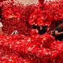 Image result for Installation Artwork