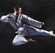 Image result for Professional Martial Arts Photography
