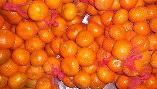 Image result for Bag of Oranges