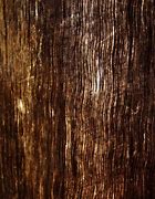 Image result for Wood Grain Images