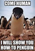 Image result for Be Mine Penguin Meme