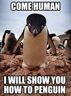 Image result for Adios Penguin Meme