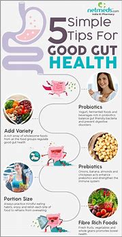 Image result for Gut Health Tips