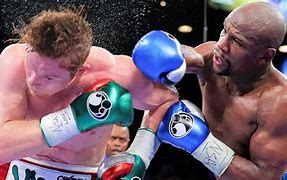 Image result for Mayweather Boxingonbluray