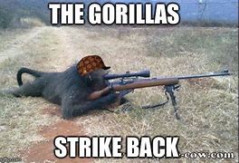 Image result for Gorilla Warfare Meme
