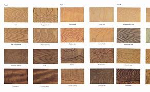 Image result for Wood End Grain Identification