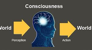Image result for Consciousness