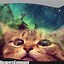 Image result for Black Cat Galaxy Wallpaper