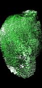 Image result for Fingerprint SCA