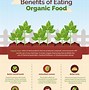 Image result for Graphic Design Food Infographic