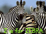 Image result for Z Zebra Book