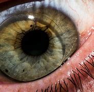 Image result for Fake Contact Lenses