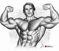 Image result for Arnold Schwarzenegger Clip Art