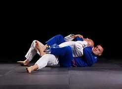 Image result for Jiu Jitsu Holds