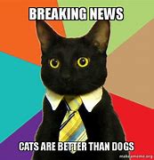 Image result for Breaking News Cat Memes