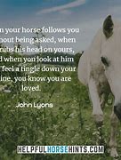 Image result for Horse Quotes Show Jumping