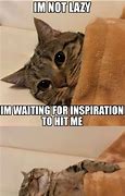 Image result for Waiting Funny Cat