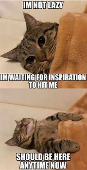 Image result for Adorable and Funny Animals Memes