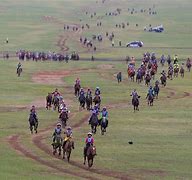 Image result for Mongolian Horse Racing