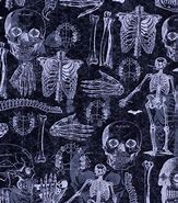 Image result for Skeleton Fabric