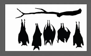 Image result for Hanging Bat Silhouette