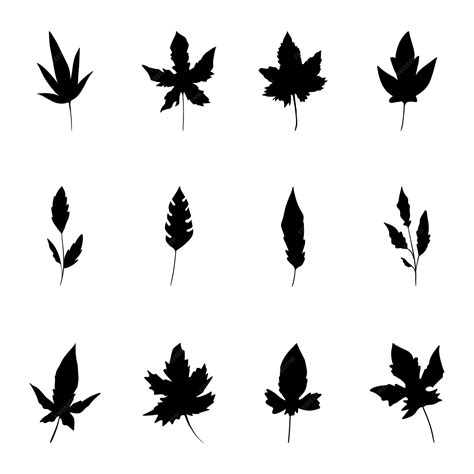 Image result for Folder Explorer in Java