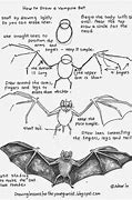 Image result for Simple Vampire Bat