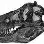 Image result for Omnivore Dinosaur Teeth