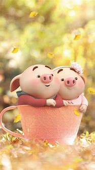 Image result for Ảnh Con Heo Cute