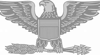 Image result for Corporal Insignia PNG
