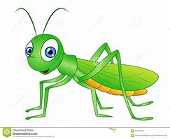 Image result for Grasshopper Catoon
