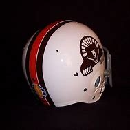 Image result for Memphis Grizzlies Football Helmet WFL