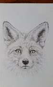 Image result for Blue Fox Drawing