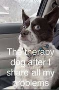 Image result for Therapy Animal Meme