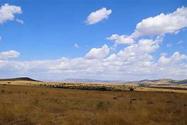 Image result for Major City in Maasai Mara