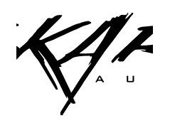 Image result for Skar Audio Logo HD
