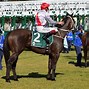 Image result for Racing Horse Italy No Background
