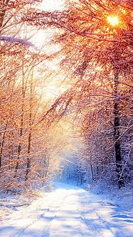 Image result for Free iPhone Wallpaper Winter