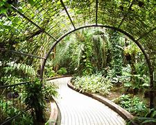 Image result for Botanical Gardens Inside