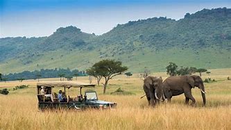 Image result for Masai Mara Kenya