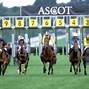 Image result for Royal Ascot Races
