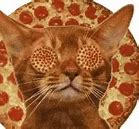 Image result for Cat with Pizza Work Meme