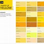 Image result for Y in Style Yellow Colour