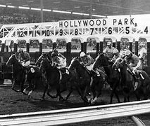 Image result for Hollywood Park Horse Racing