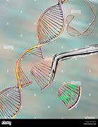Image result for DNA Editing