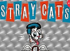 Image result for Stray Cats 40