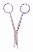 Image result for Scissors Disecctiing